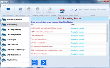 Autohex II BMW Ecu Coding individually